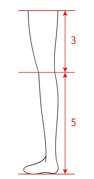 脚のプロポーションを示すシンプルな線画