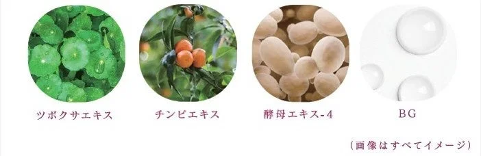 ツボクサエキス、チンピエキス、酵母エキス-4、BGの4種類の成分