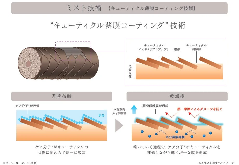 キューティクル薄膜コーティング技術