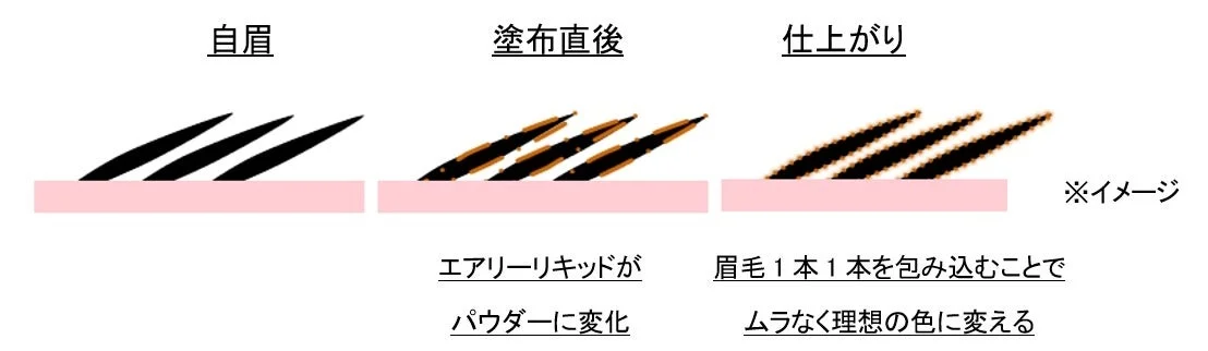 眉毛のメイクプロセスを示す図。エアリーリキッドがパウダーに変化し、眉毛一本一本をムラなく包み込み、理想の色に仕上げる様子を「自眉」「塗布直後」「仕上がり」の3段階で説明しています。