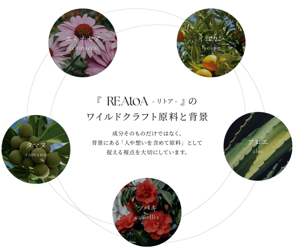 REAtOAのワイルドクラフト原料とその背景を紹介する画像です。エキナセア、イヨカン、アロエ、ツバキ、タマヌの5つの主要な植物が円形に配置され、成分だけでなく、それに携わる人々の想いも重視するブランド哲学が説明されています。