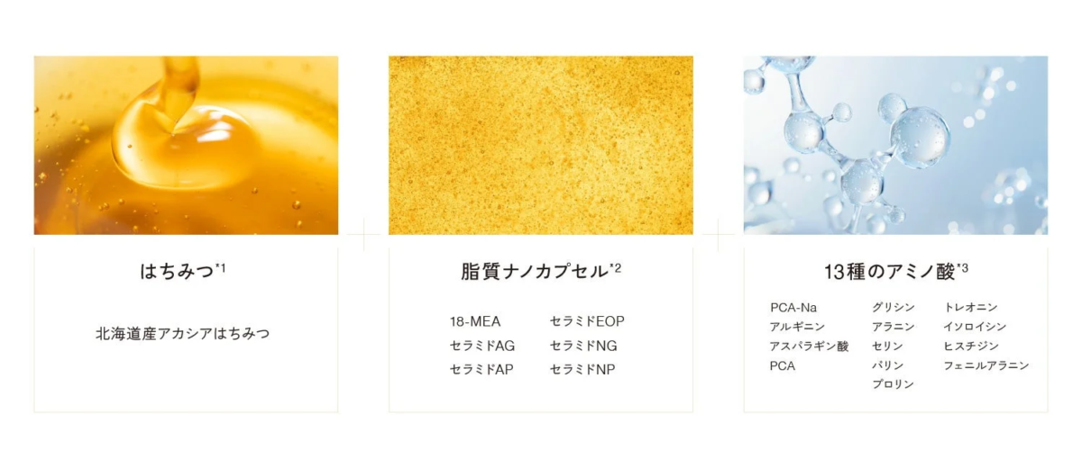 はちみつ、脂質ナノカプセル、アミノ酸の成分説明