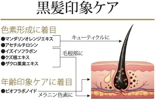 黒髪印象ケア