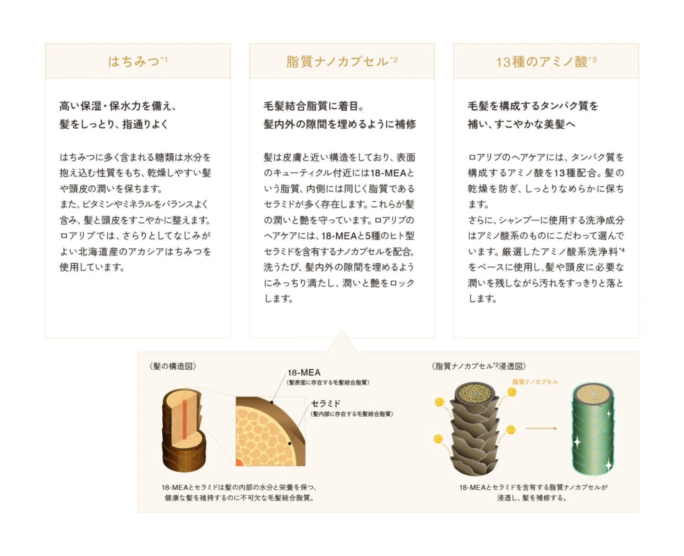 はちみつ、脂質ナノカプセル、アミノ酸の詳細説明