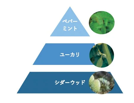 ペパーミント、ユーカリ、シダーウッド