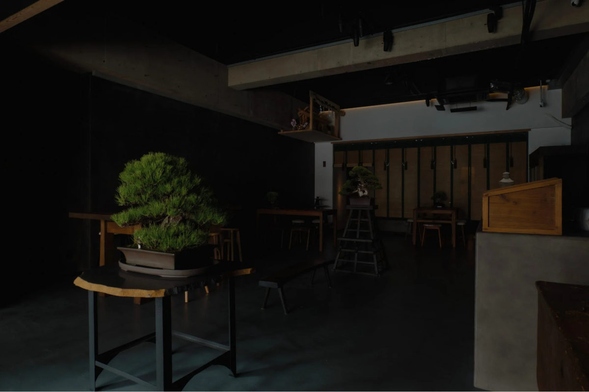 松葉屋茶寮の盆栽