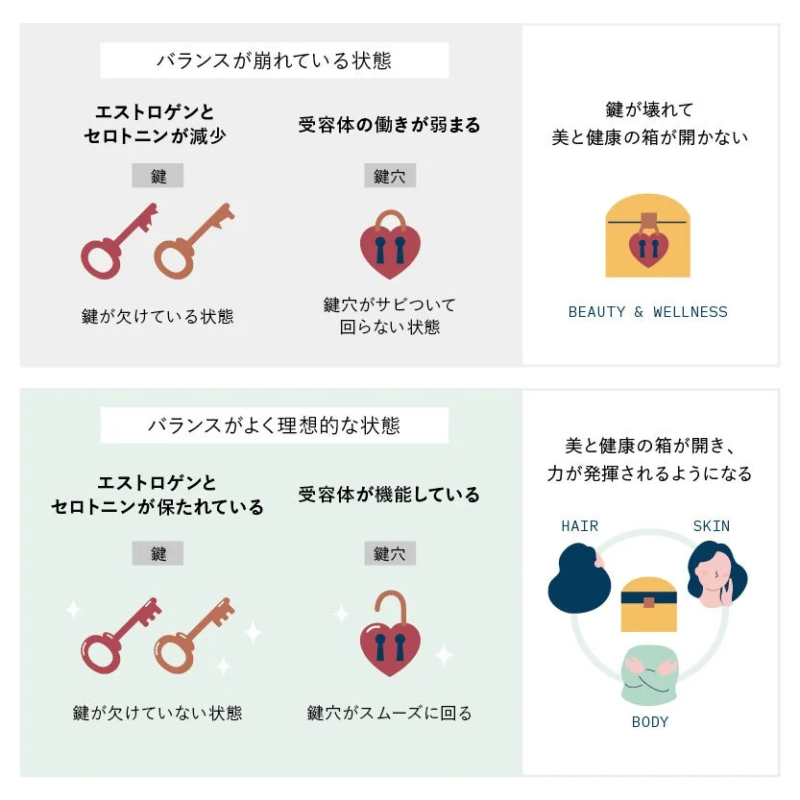 エストロゲンとセロトニンのバランスが美容と健康にどう影響するかを、鍵と鍵穴の比喩で説明。ホルモン減少による不調な状態と、ホルモン維持による理想的な状態(ヘア、スキン、ボディへの効果)を比較した図