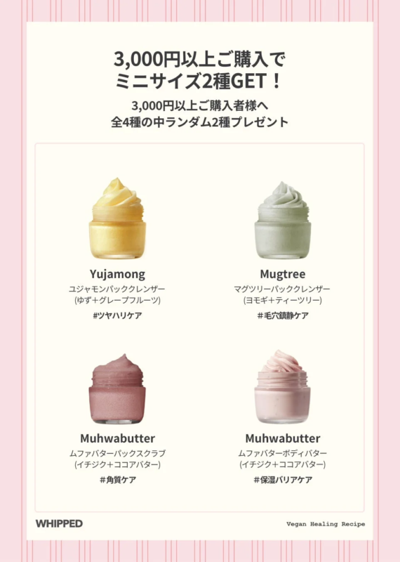 購入特典のミニサイズ製品