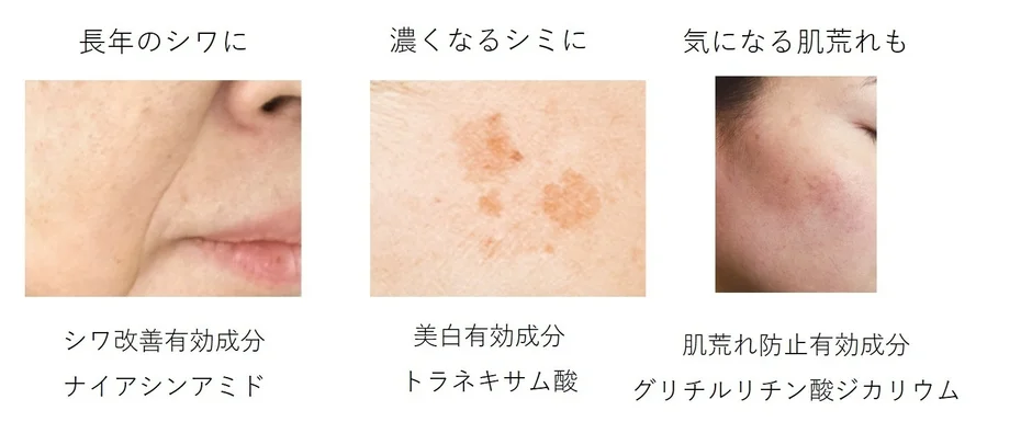 3つの有効成分