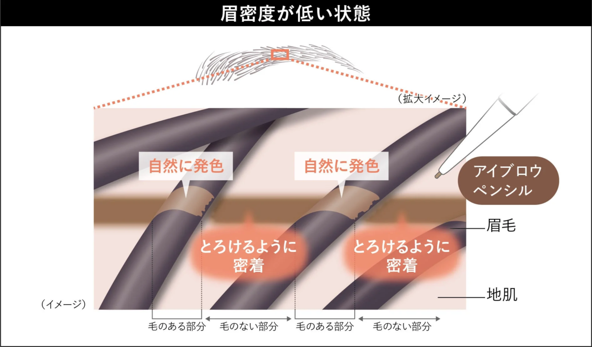 アイブロウペンシル技術