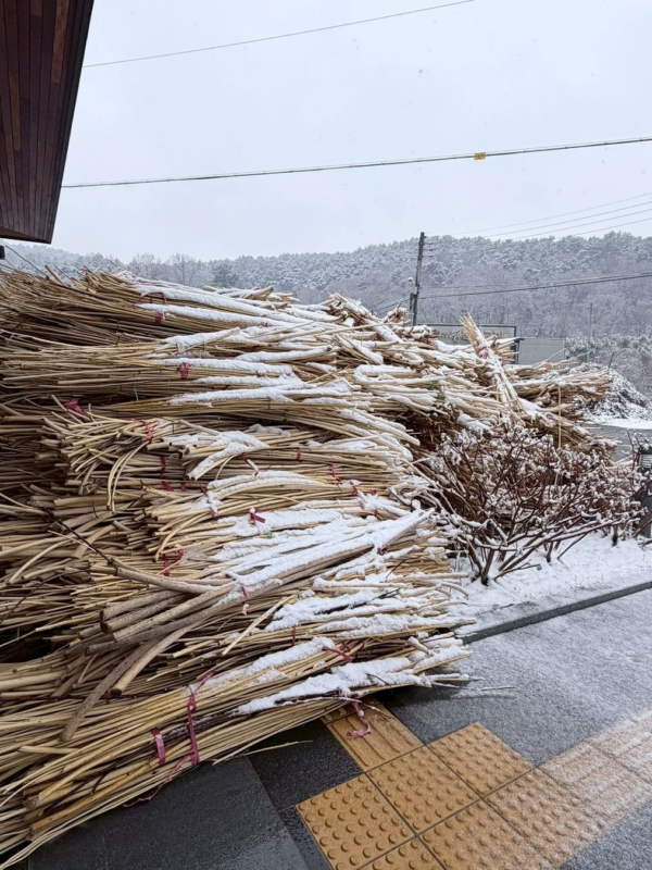 雪が積もった冬の屋外で、大量の枯れた棒や薪が山積みにされている様子