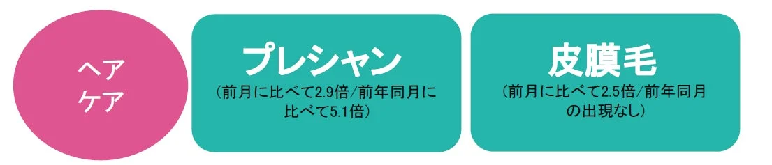 ヘアケア プレシャン 皮膜毛