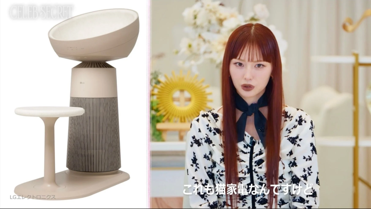 鈴木えみさんと猫家電