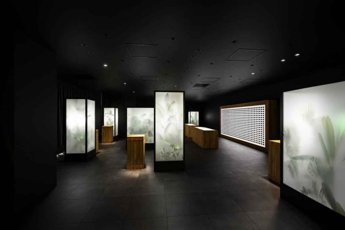 モダンな展示空間