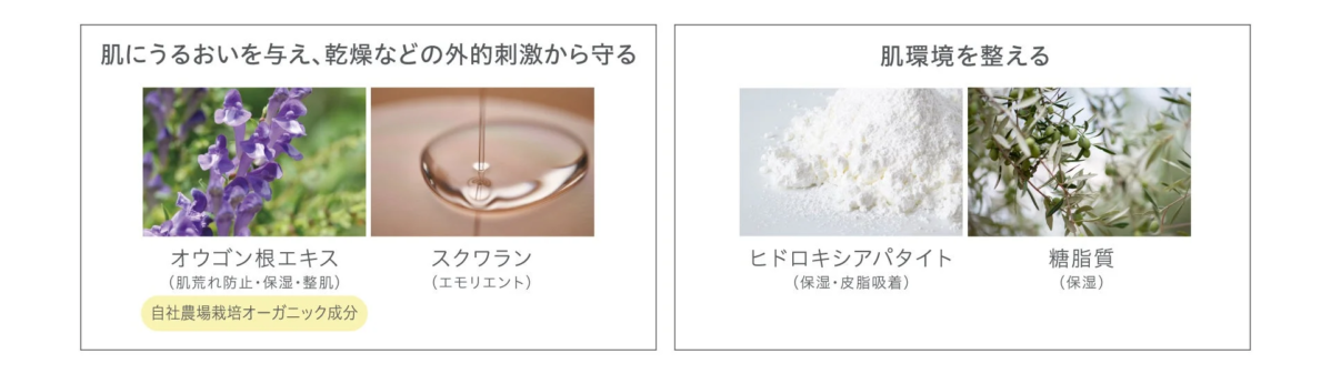 スキンケア成分の説明