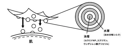 潤いのメカニズム