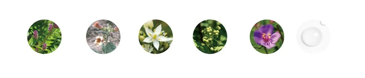 様々な植物や花のアイコン画像