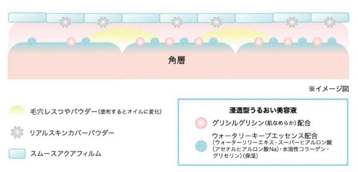 肌の角層における美容成分の働きを示す概念図