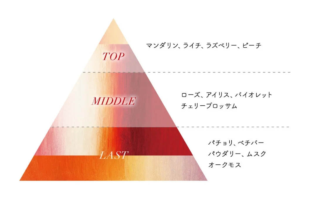 香りのピラミッド図:トップ、ミドル、ラストノート