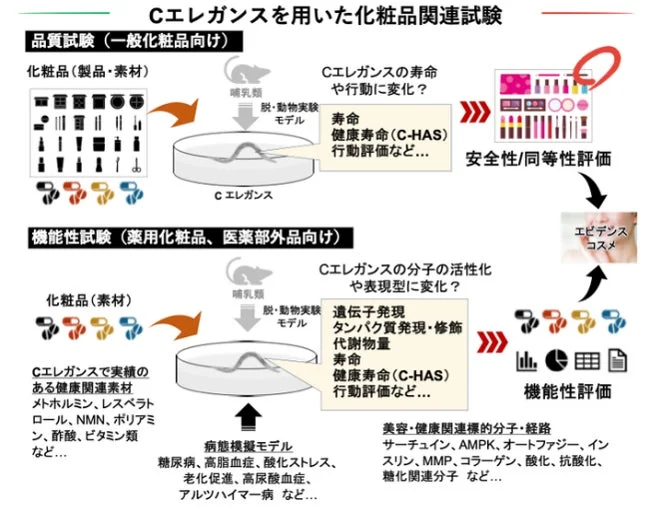 C-HAS評価技術のフロー図