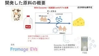 ダブルエクソソーム原料の概要図