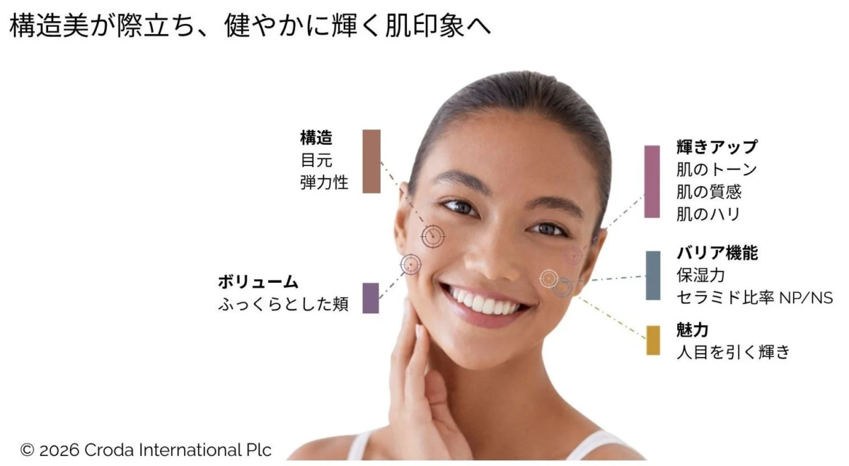 構造美が際立ち、健やかに輝く肌印象へ