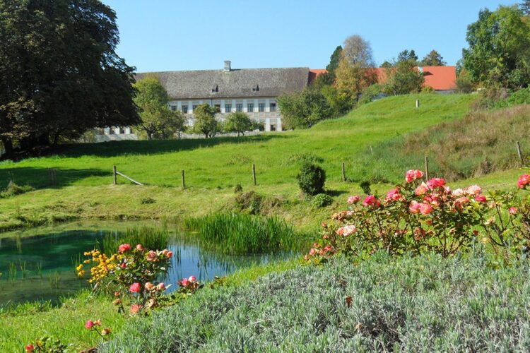 A landscape with a green garden and a pond, and a building in the background