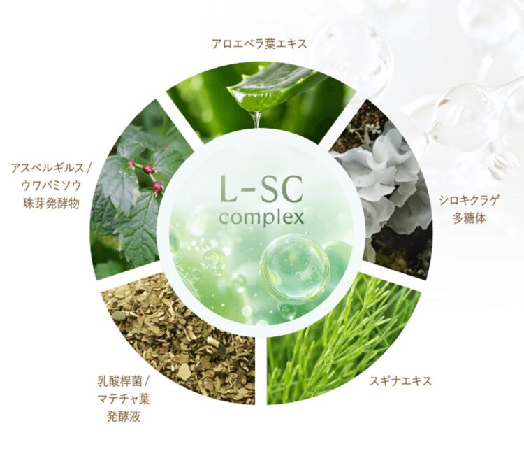 将L-SC复合物所含植物排成圆形的示意图