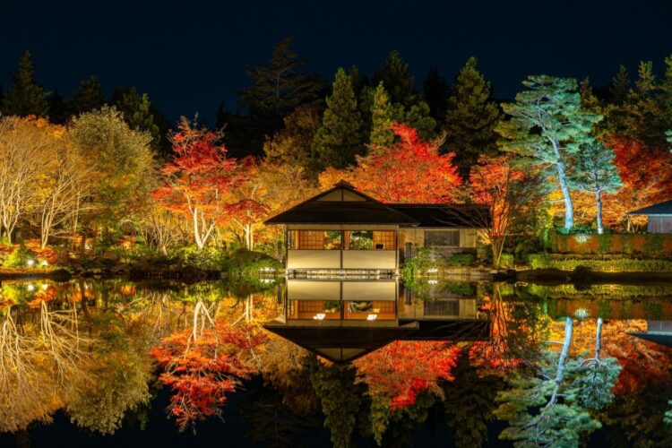日本庭園の紅葉と池を照らす夜の景観イメージ