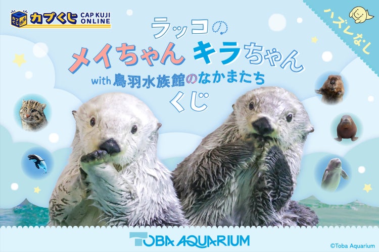 鳥羽水族館とカプくじのコラボレーション第3弾