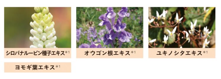 白い花や紫の花、草など、植物エキスの原料となる植物の写真と成分名のラベル