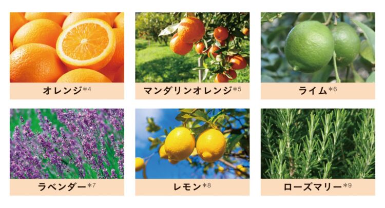 オレンジ、マンダリンオレンジ、ライム、ラベンダー、レモン、ローズマリーの写真と成分名のラベル