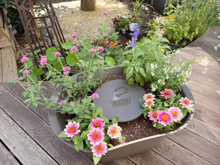 ピンクや紫、白の花を寄せ植えしたPOTAGESTと中央のコンポスター蓋