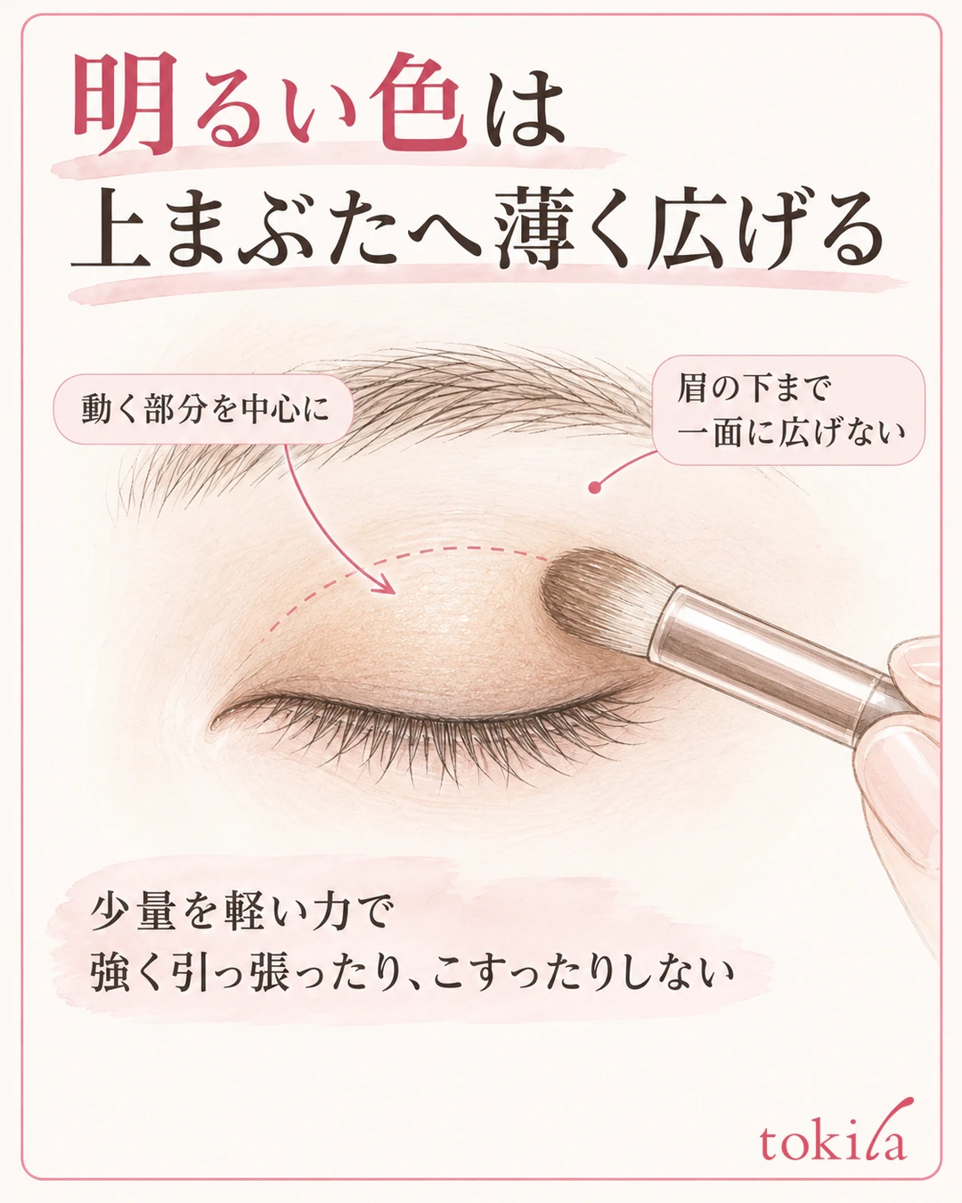 Diagram showing the contact between the brush and the eyelid as the light color is spread thinly over the movable part of the upper eyelid