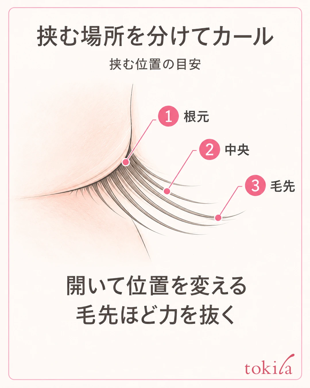 A schematic showing three positions, roots, middle, and tips, on the side of the same upper lashes, explaining that you open and change position