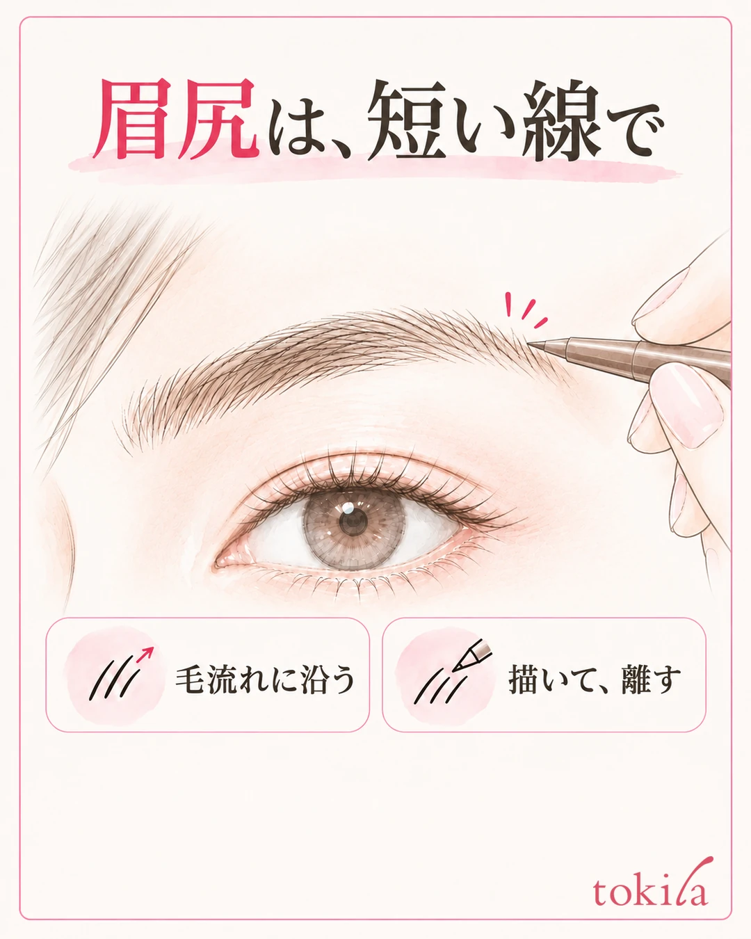 눈썹 꼬리의 부족한 짧은 구간에 털 결을 따르는 가는 선을 펜슬로 그리는 그림