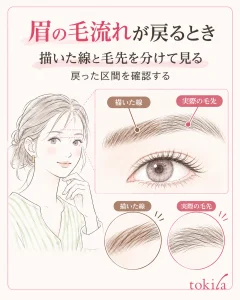描いた線と実際の毛先を分け、戻った区間を確認します。
