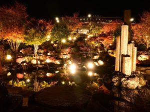 ハーブ庭園 旅日記 富士河口湖庭園の、光に照らされた紅葉と池への映り込み