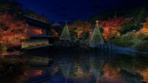 目白庭園の樹木や赤鳥庵を照らす夜間ライトアップのイメージ