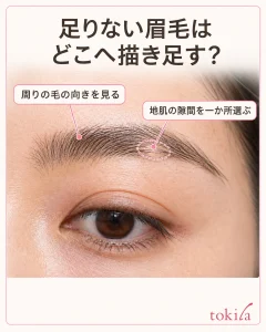 描く前に、周りの毛と地肌の隙間を分けて見ます。