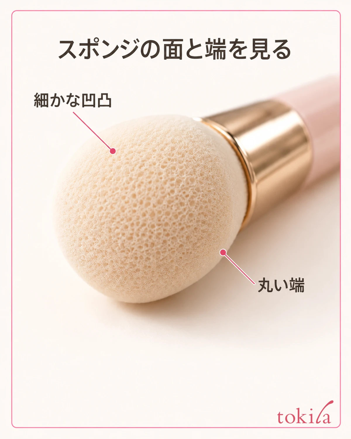 スポンジの細かな凹凸と丸い縁を近くで見ます。