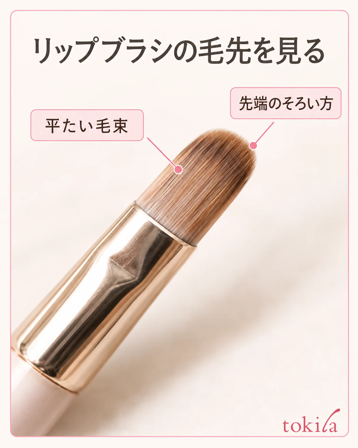 Looking at the bristle tip of a lip brush. Check the flat bristle bundle and how evenly the tip is aligned.