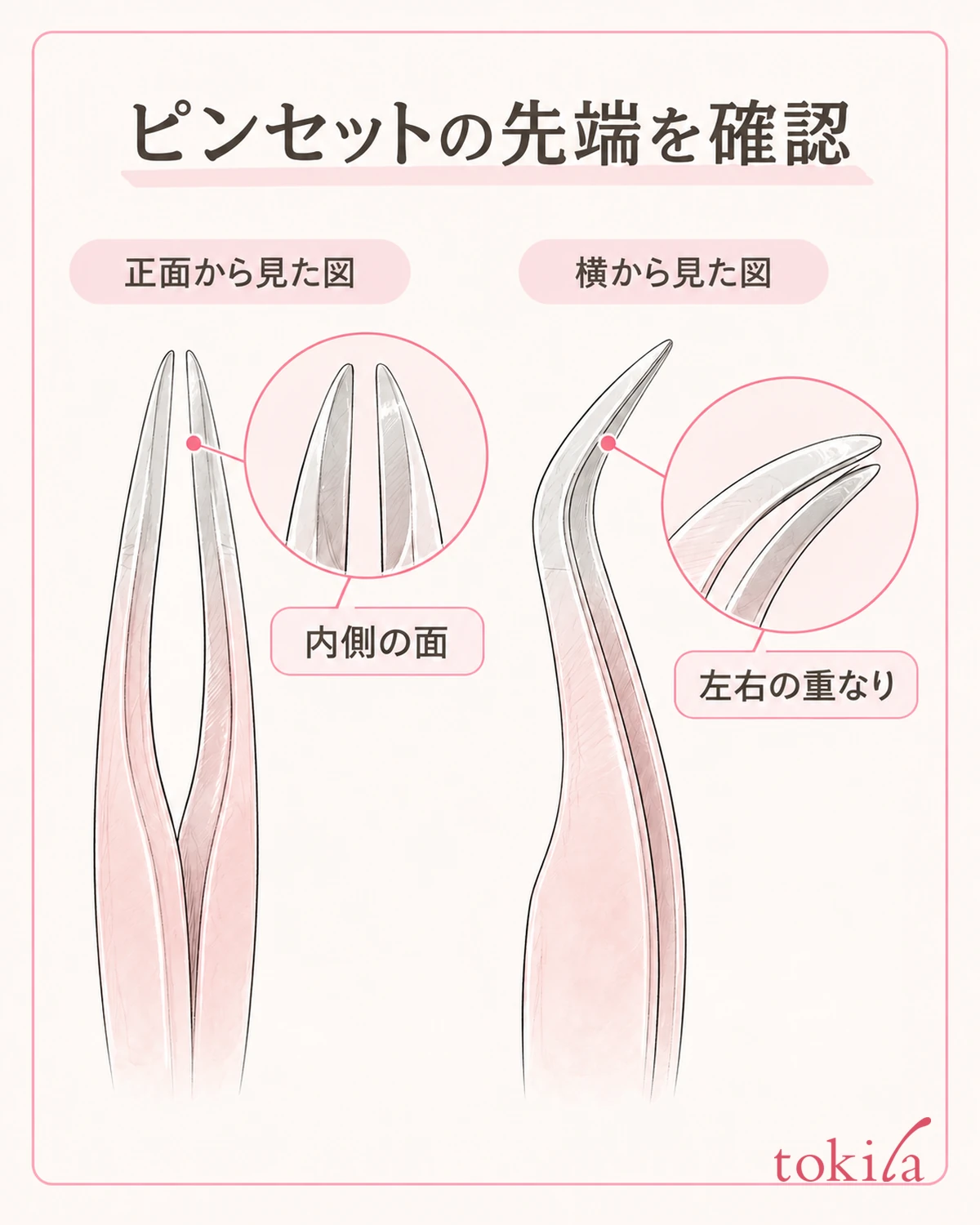先端の内側と左右の重なりを明るい手元で確認します。