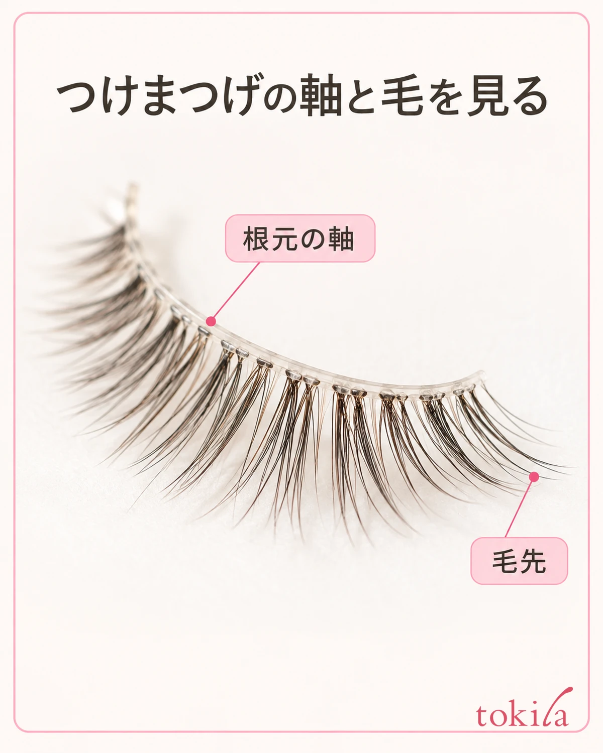A thin, translucent band at the base and fine hair tips extending beyond it