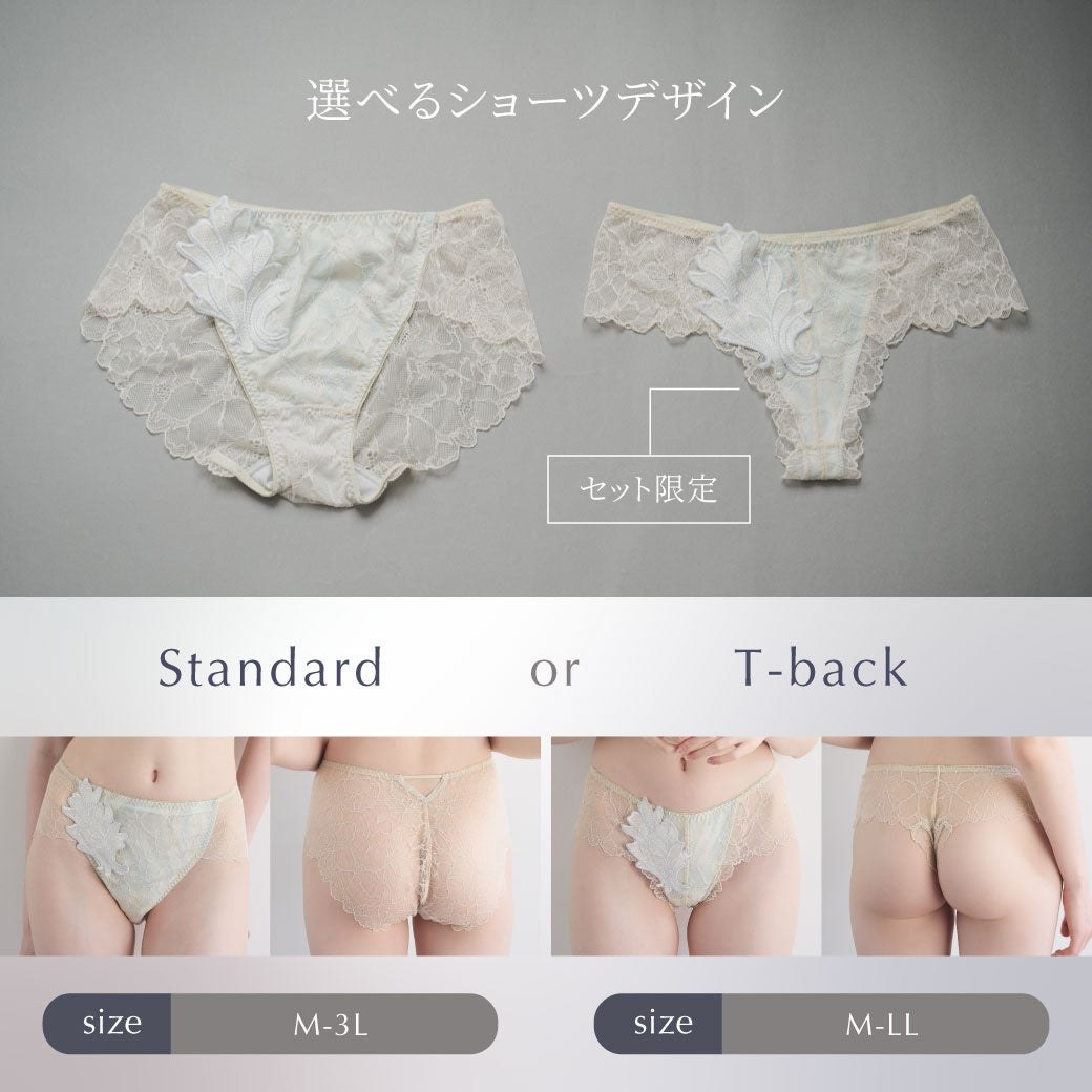 スタンダードとセット限定Tバックの2種類のショーツ