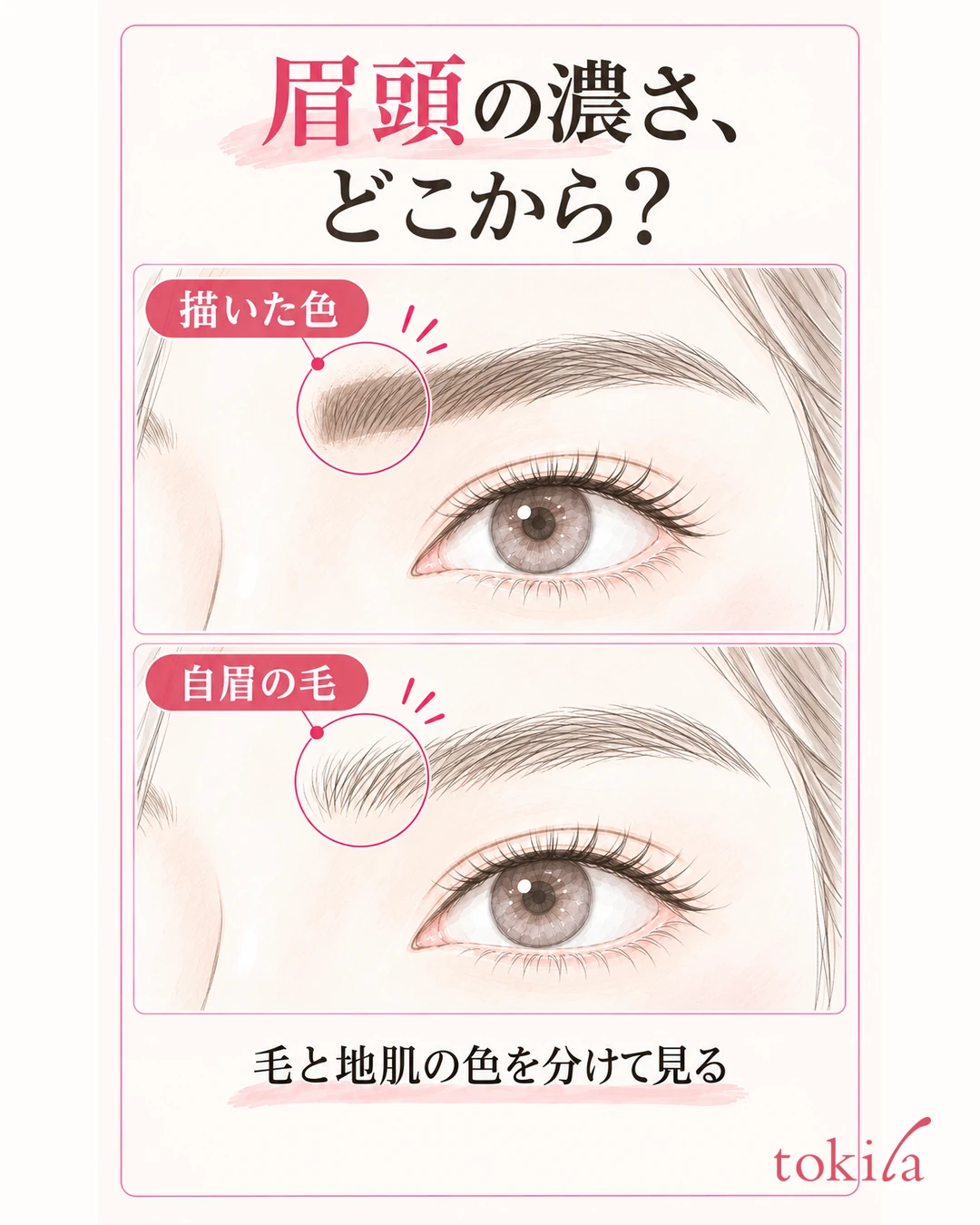 같은 눈썹에서 피부에 진하게 그린 색이 있는 상태와 자기 눈썹 털만 보이는 상태를 비교한 그림