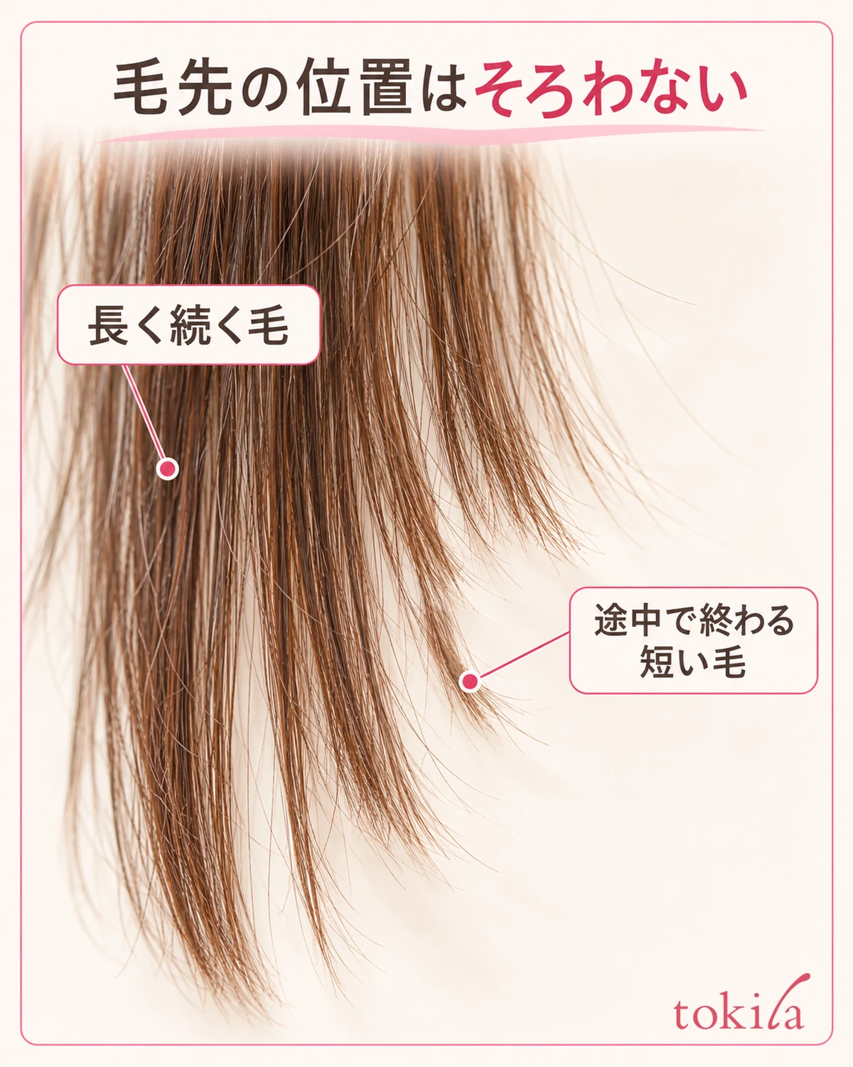 긴 머리와 중간에 끝나는 짧은 머리가 섞인 머리 다발의 끝을 가까이서 봅니다.