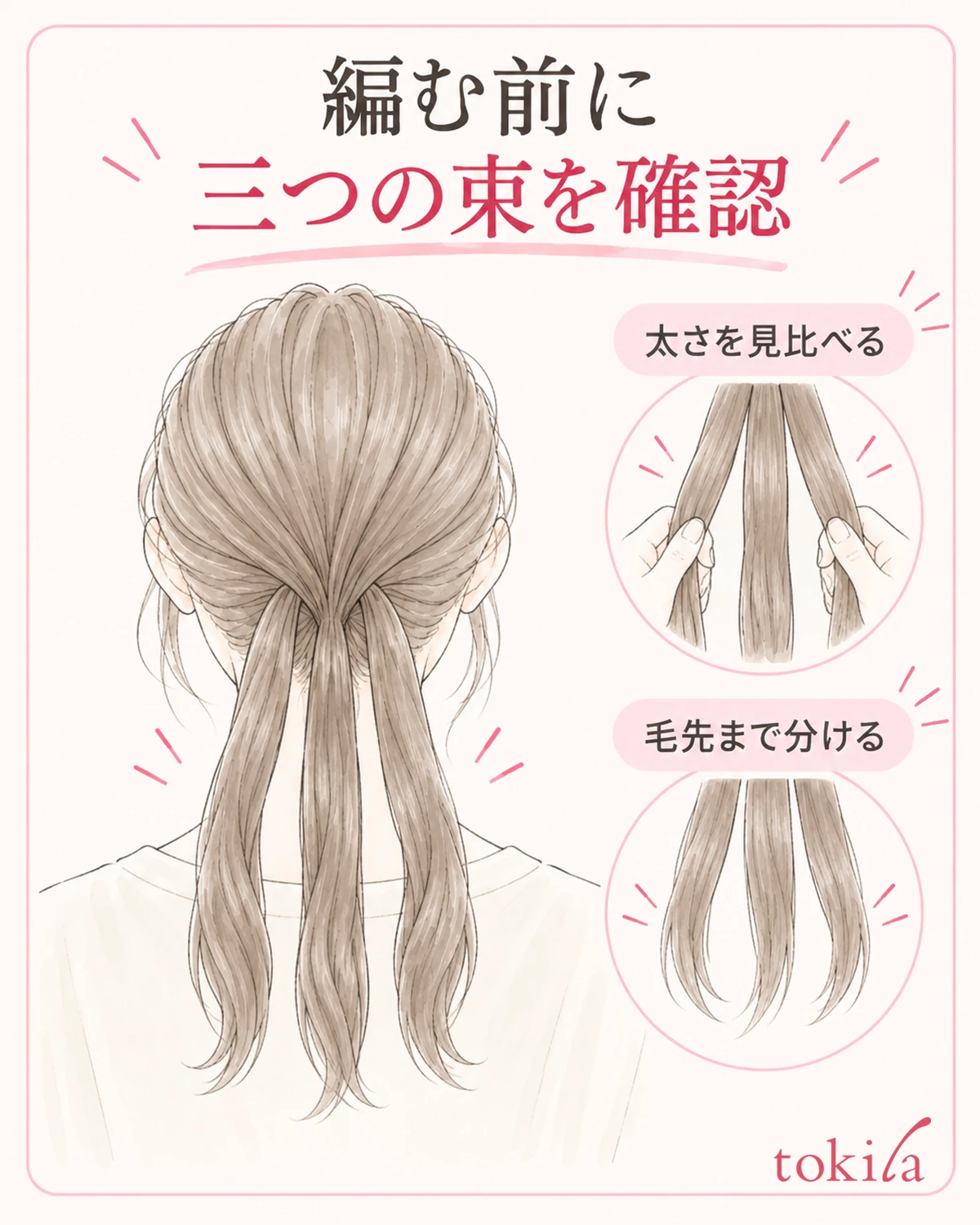 同じ位置で三つの束の太さと毛先側の分かれ方を見る図