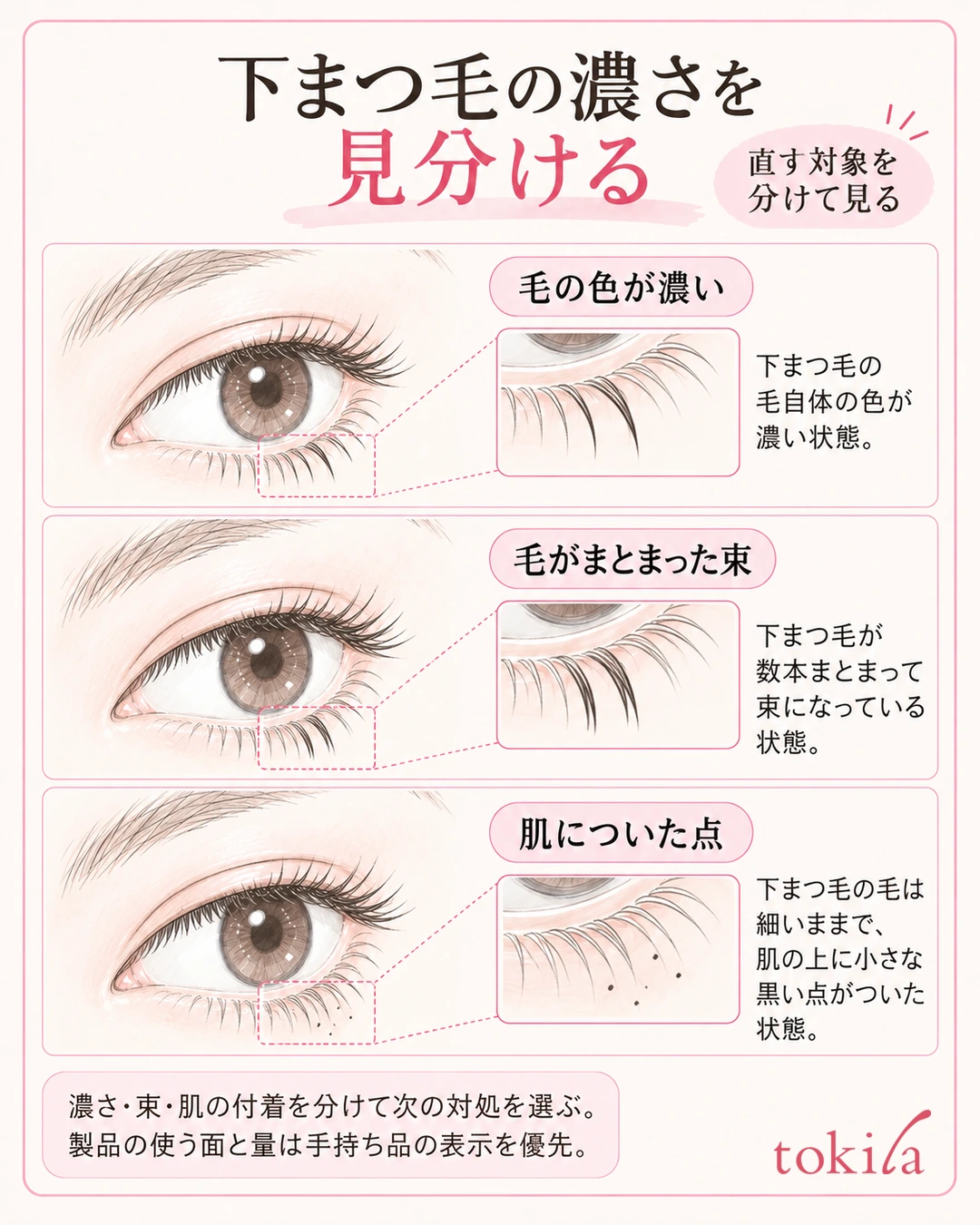 同じ目で下まつ毛の濃い色・まとまった束・皮膚の点を分ける図