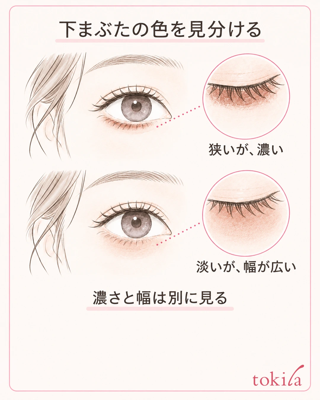 同じ目の形で下まぶたの狭い濃い色と広い淡い色を比べる図